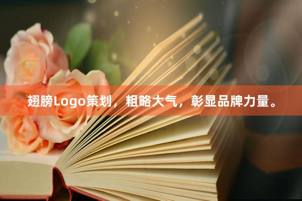 翅膀Logo策划，粗略大气，彰显品牌力量。