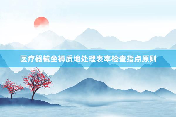 医疗器械坐褥质地处理表率检查指点原则