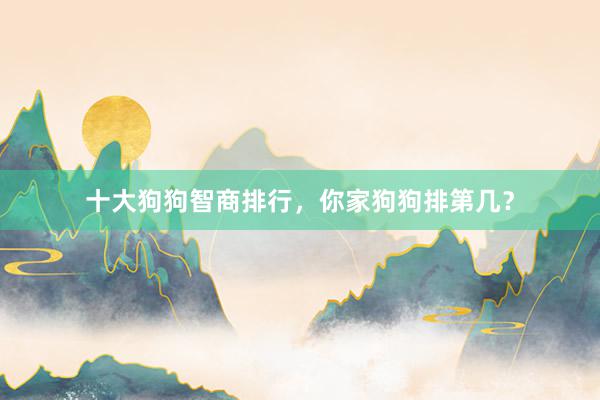 十大狗狗智商排行,你家狗狗排第几?