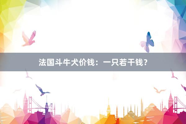 法国斗牛犬价钱：一只若干钱？