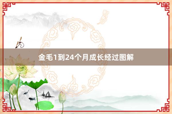 金毛1到24个月成长经过图解