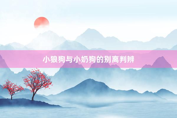 小狼狗与小奶狗的别离判辨